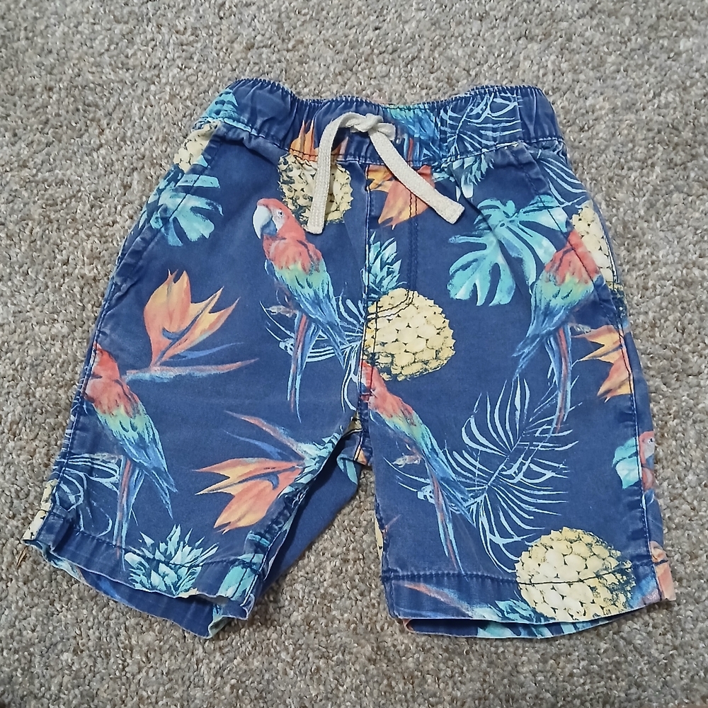 The Children's Place Tropical Print With Parrots And Pineapples Boys 3T Shorts - Picture 1 of 3